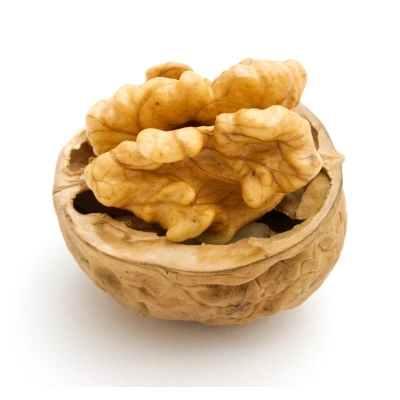 گردو