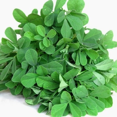 شنبلیله