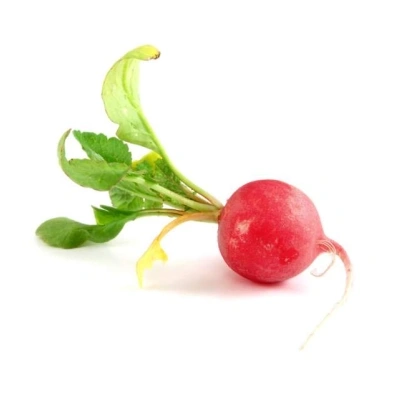 تربچه