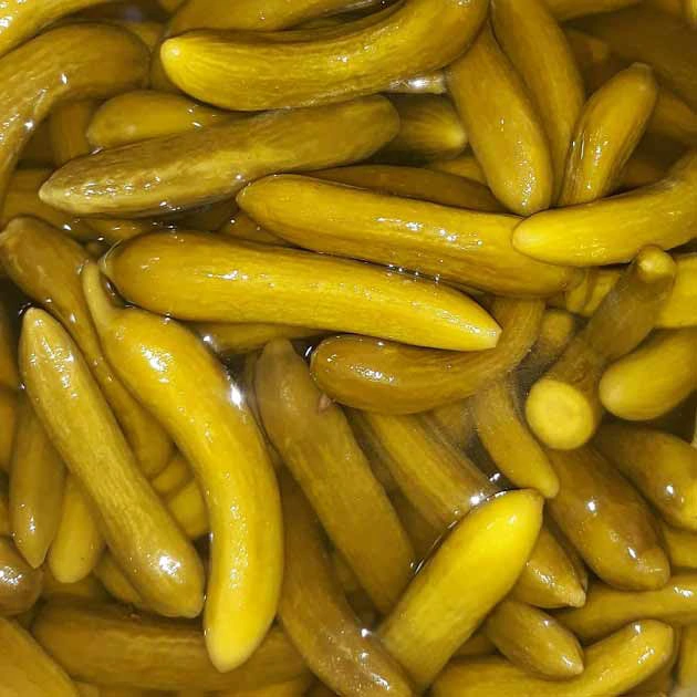 خیار شور