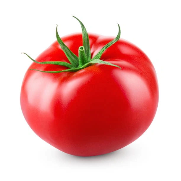 گوجه فرنگی