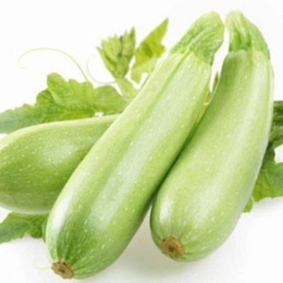 کدو سبز