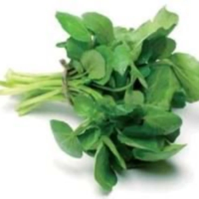 شاهی