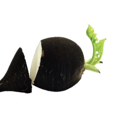 ترب سیاه